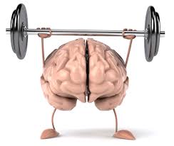brain-muscle
